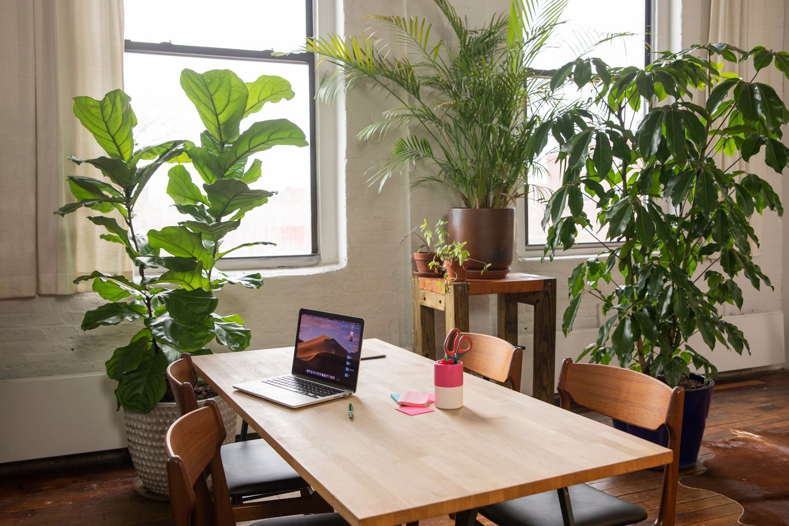 A bright office meeting area with wooden desks and indoor plants